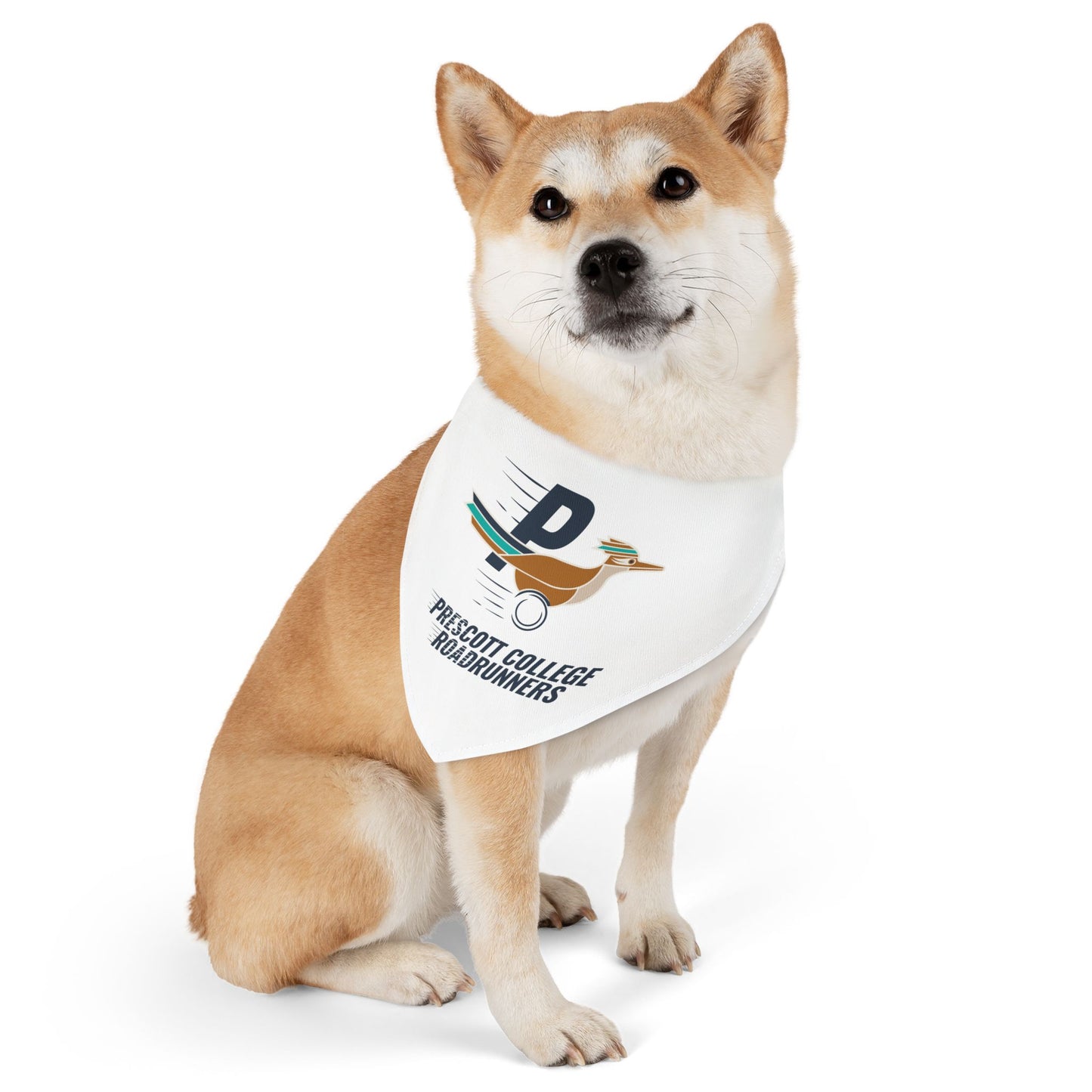 Roadrunners - Pet Bandana Collar