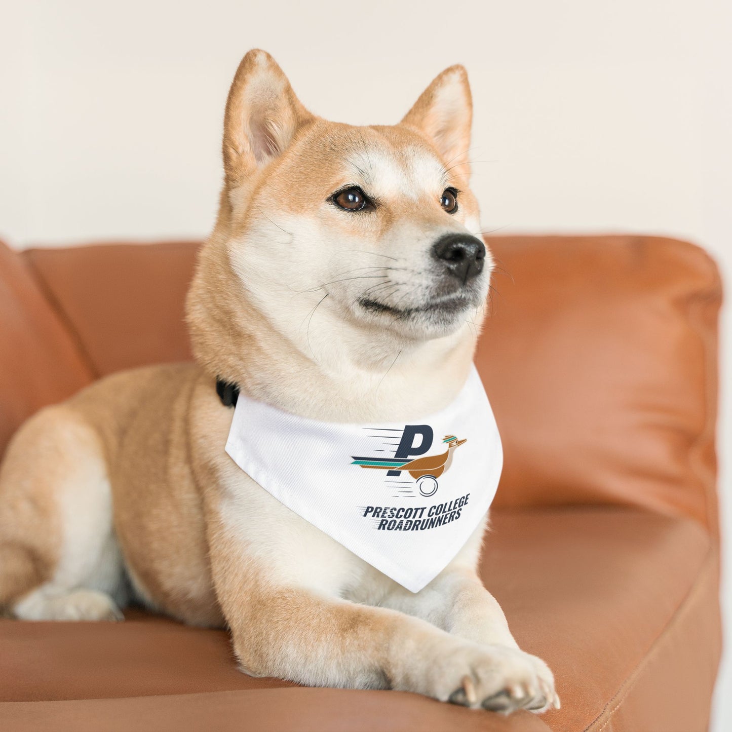Roadrunners - Pet Bandana Collar