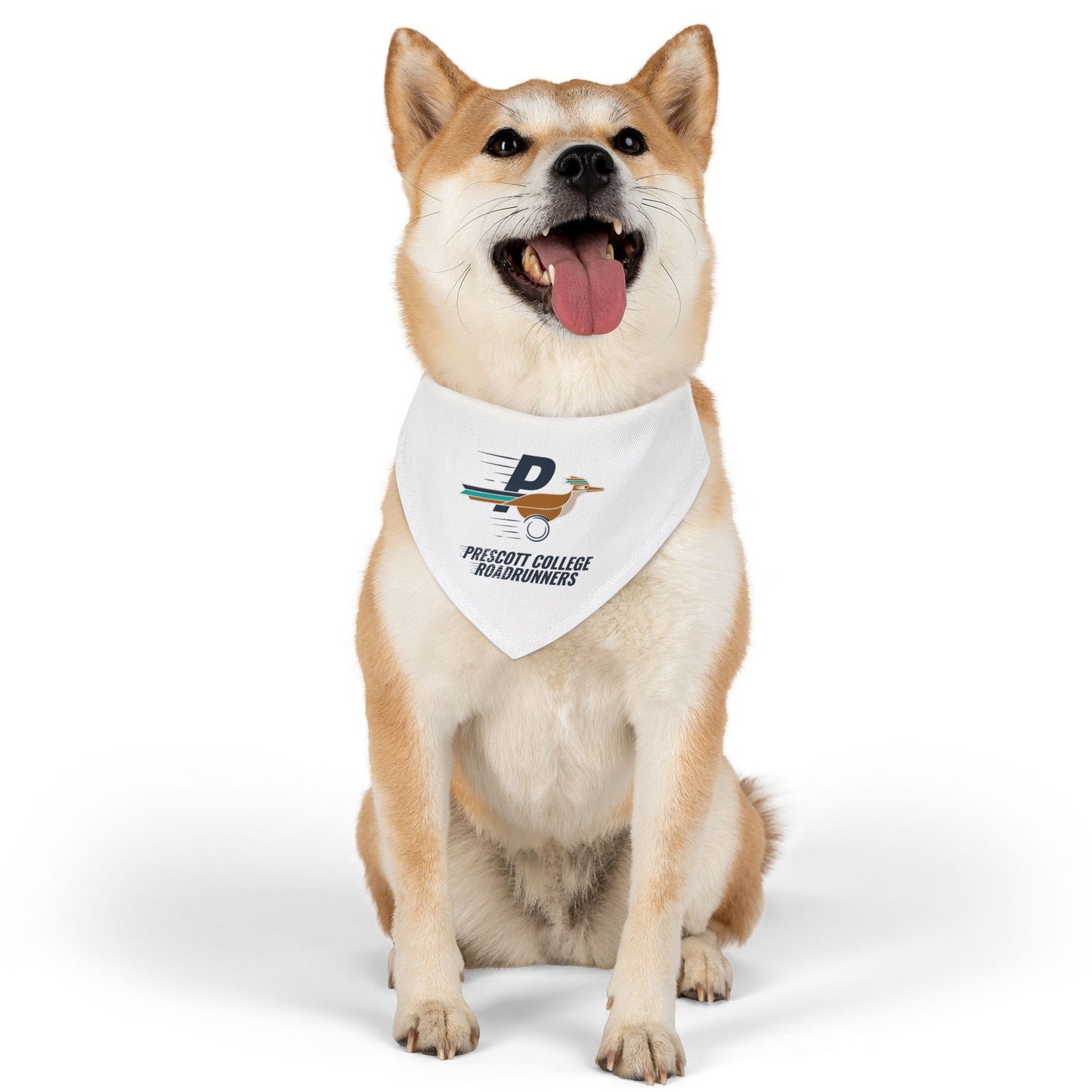 Roadrunners - Pet Bandana Collar