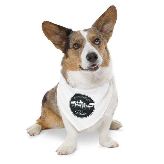 Pet Bandana Collar